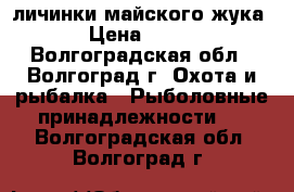 личинки майского жука › Цена ­ 300 - Волгоградская обл., Волгоград г. Охота и рыбалка » Рыболовные принадлежности   . Волгоградская обл.,Волгоград г.